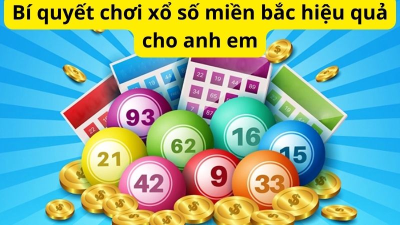 Mẹo đánh rồng hổ - Hướng dẫn từ A đến Z để thành công 11 Bí quyết chơi xổ số miền bắc hiệu quả cho anh em